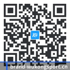 iOS 极速版客户端 二维码